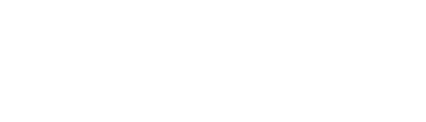 WSB Winter Service Berlin